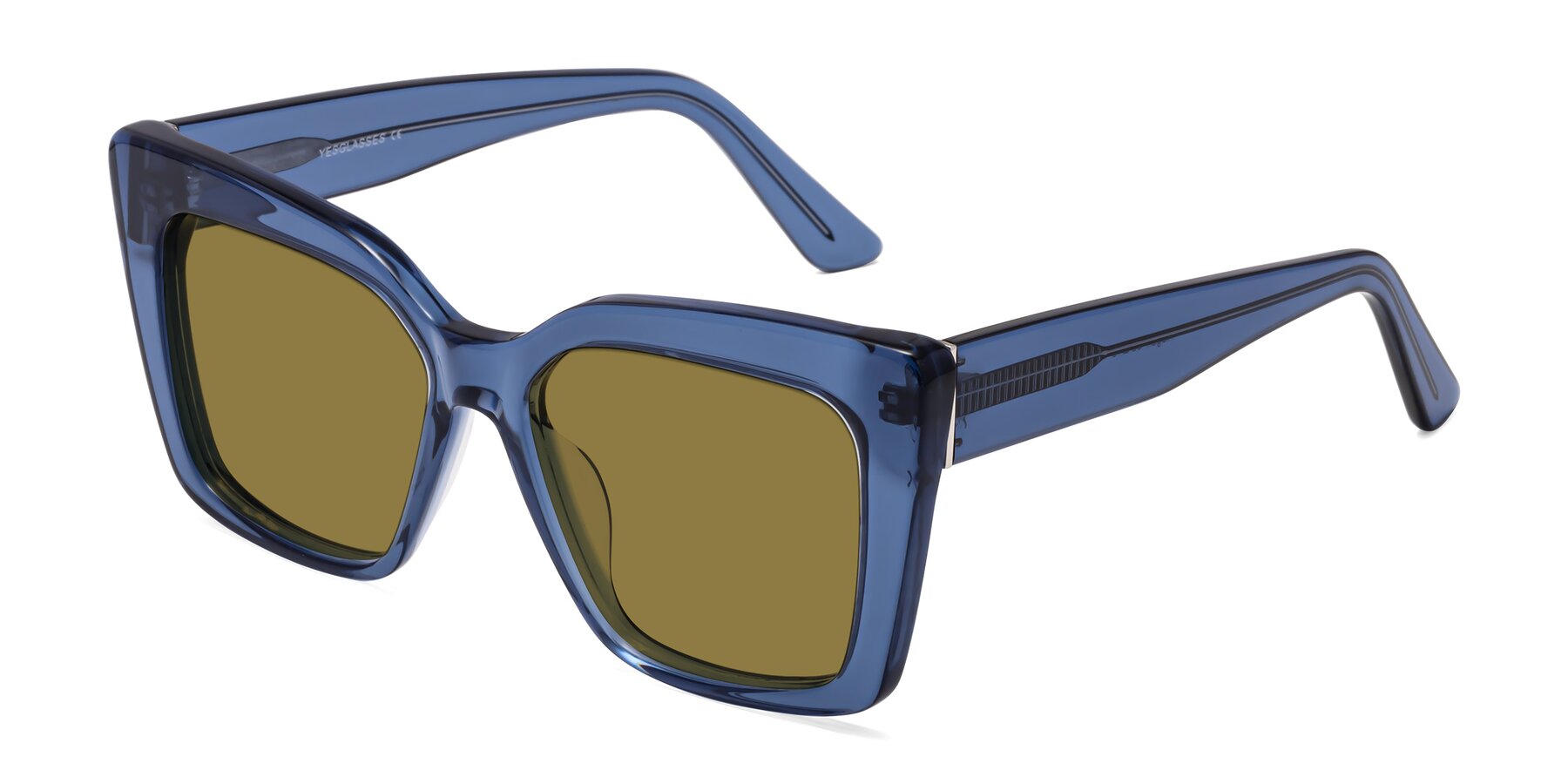 Angle of Hagen in Translucent Blue with Brown Polarized Lenses