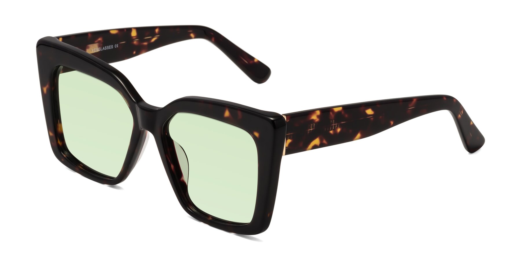 Angle of Hagen in Tortoise with Light Green Tinted Lenses