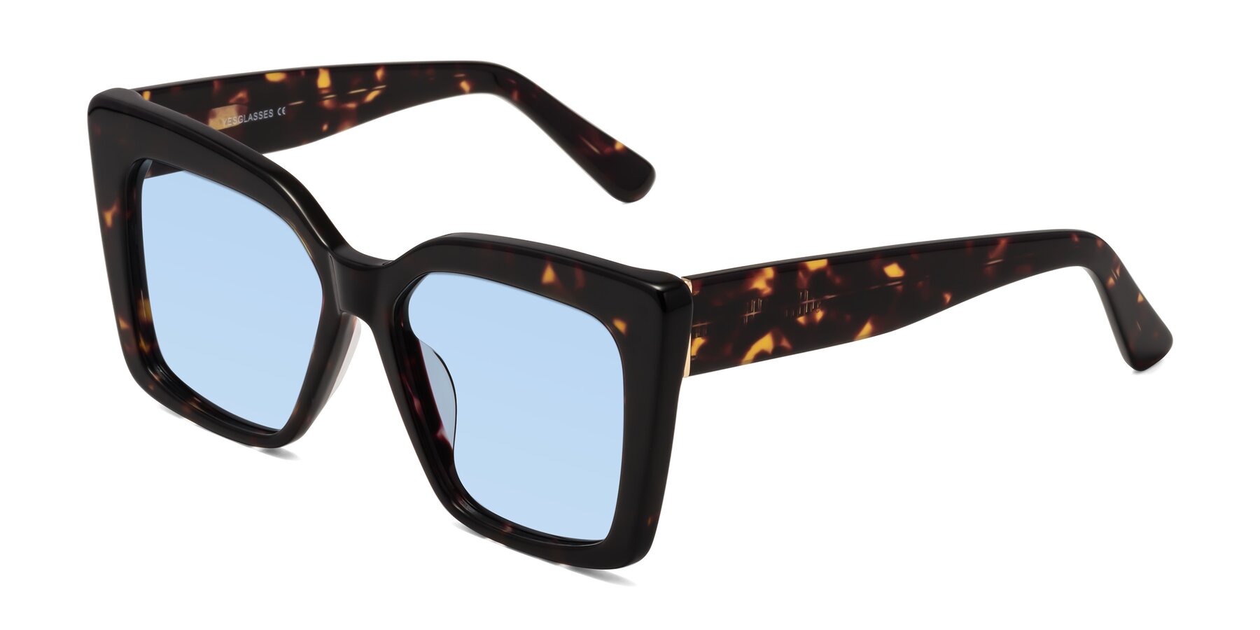 Angle of Hagen in Tortoise with Light Blue Tinted Lenses