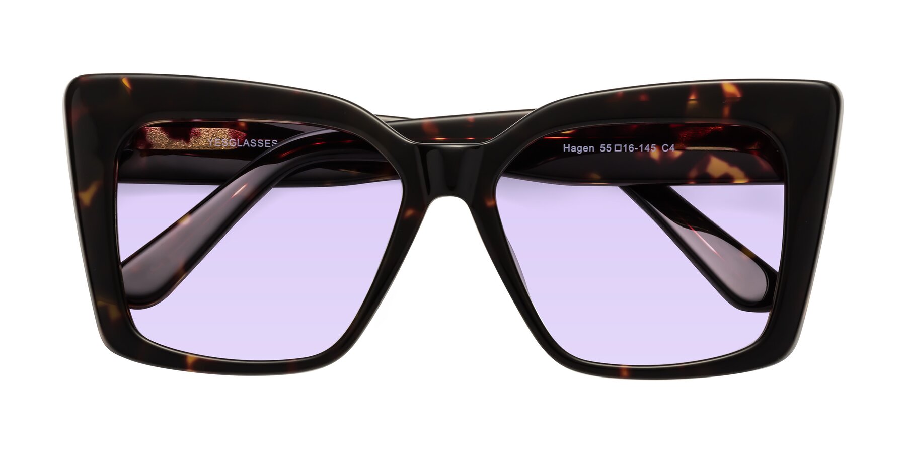 Folded Front of Hagen in Tortoise with Light Purple Tinted Lenses