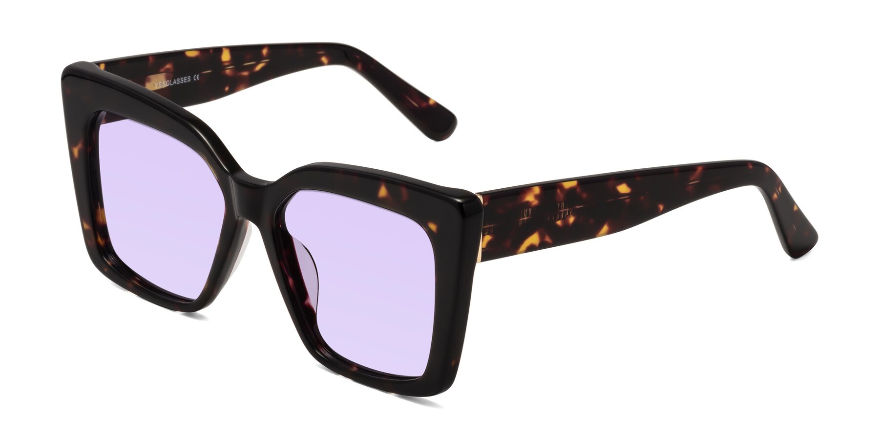Angle of Hagen in Tortoise with Light Purple Tinted Lenses