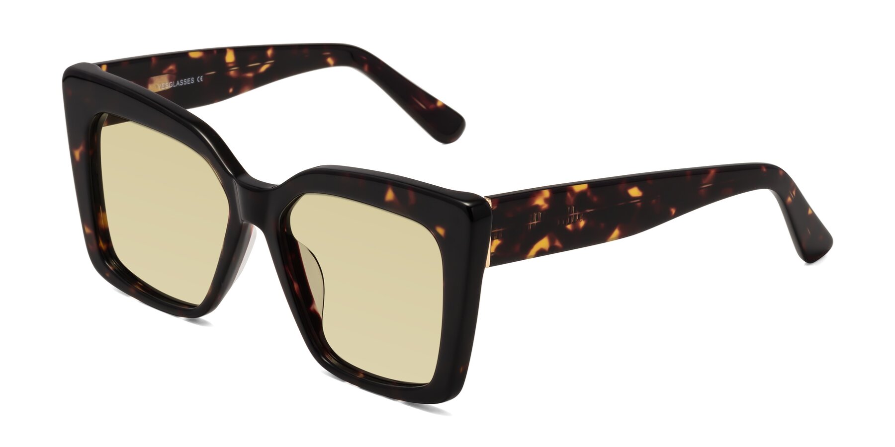 Angle of Hagen in Tortoise with Light Champagne Tinted Lenses