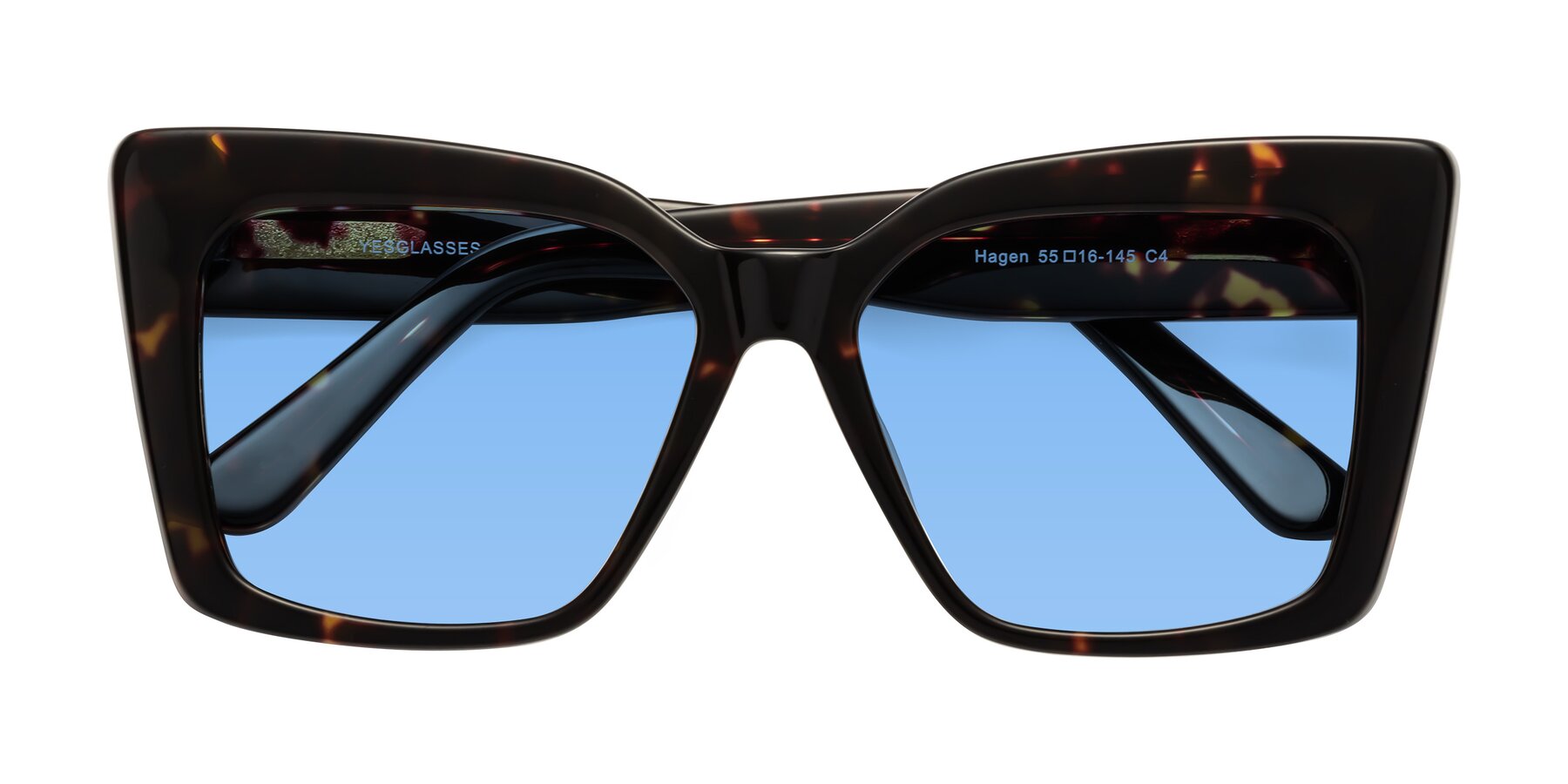 Folded Front of Hagen in Tortoise with Medium Blue Tinted Lenses