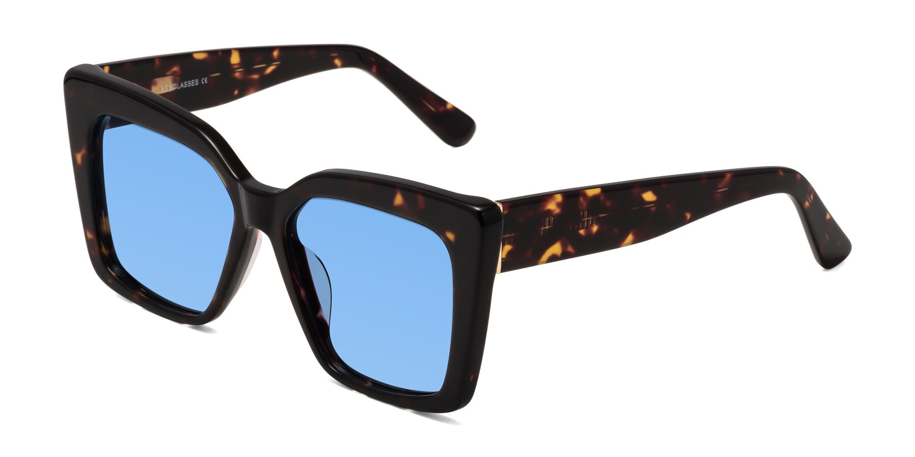 Angle of Hagen in Tortoise with Medium Blue Tinted Lenses