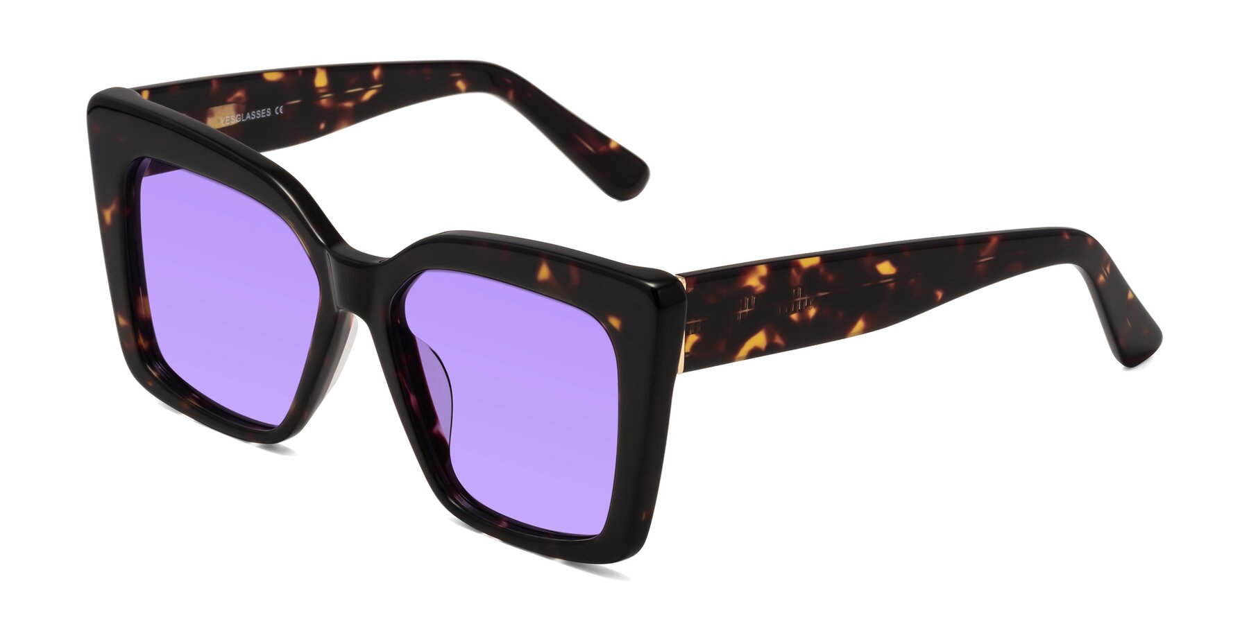 Angle of Hagen in Tortoise with Medium Purple Tinted Lenses