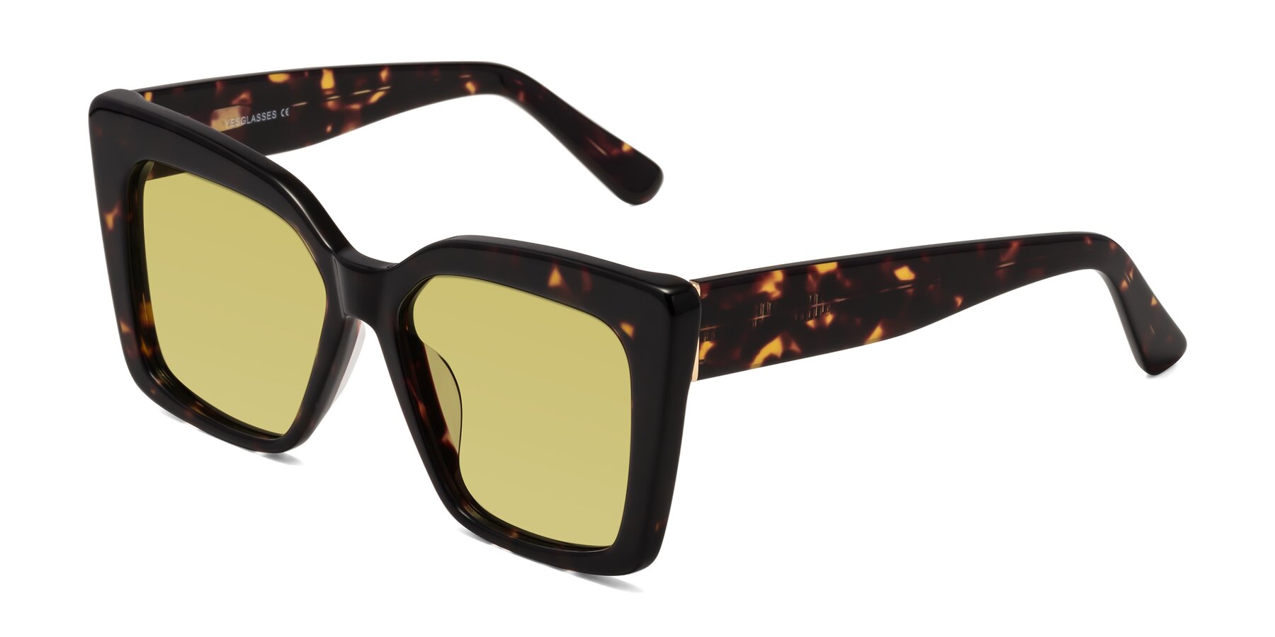 Angle of Hagen in Tortoise with Medium Champagne Tinted Lenses