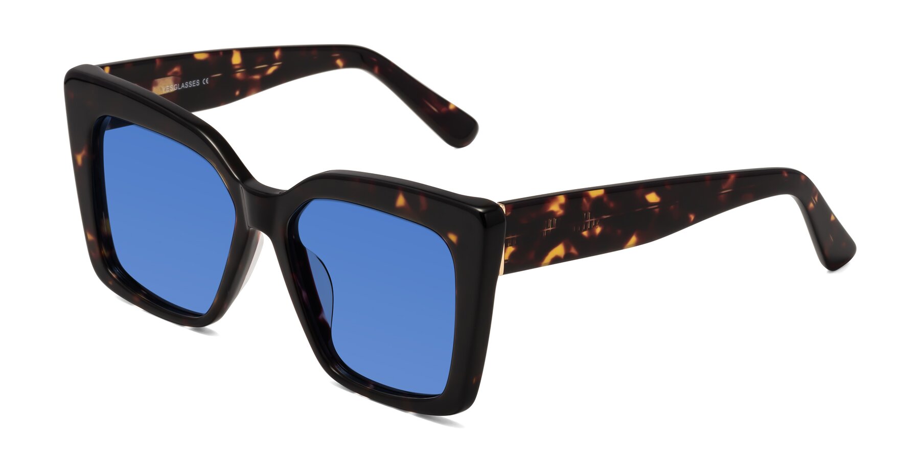 Angle of Hagen in Tortoise with Blue Tinted Lenses