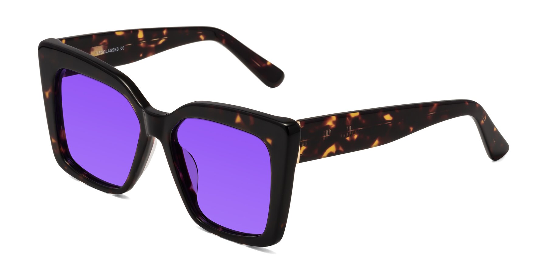 Angle of Hagen in Tortoise with Purple Tinted Lenses