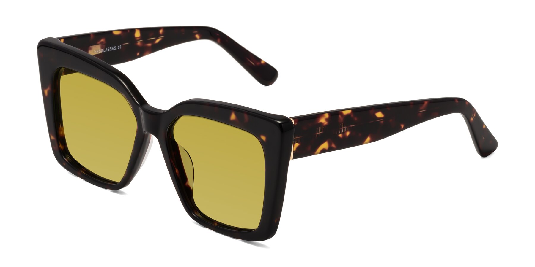 Angle of Hagen in Tortoise with Champagne Tinted Lenses