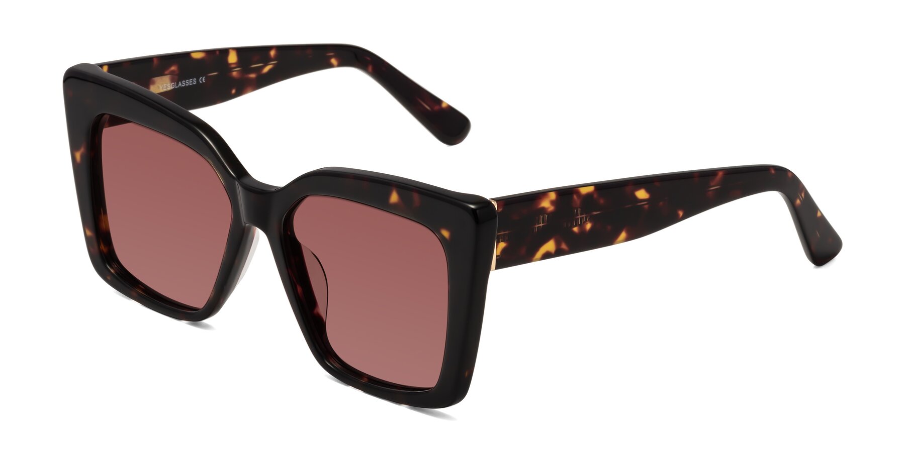 Angle of Hagen in Tortoise with Garnet Tinted Lenses