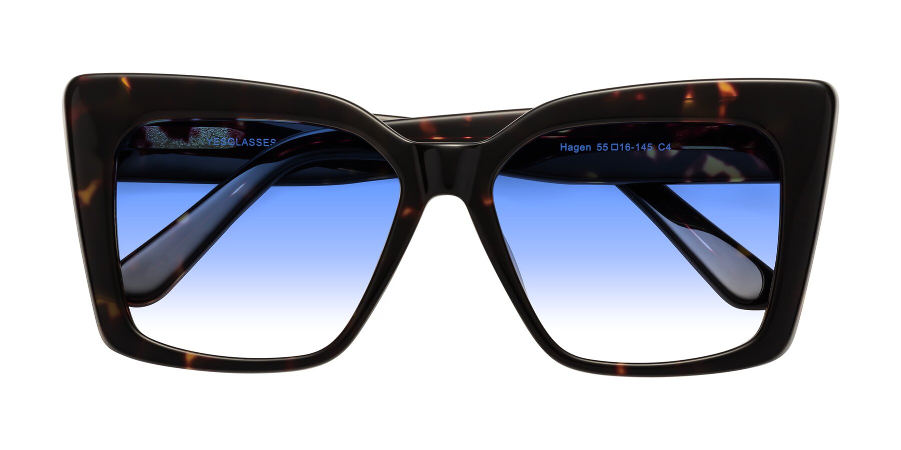 Folded Front of Hagen in Tortoise with Blue Gradient Lenses
