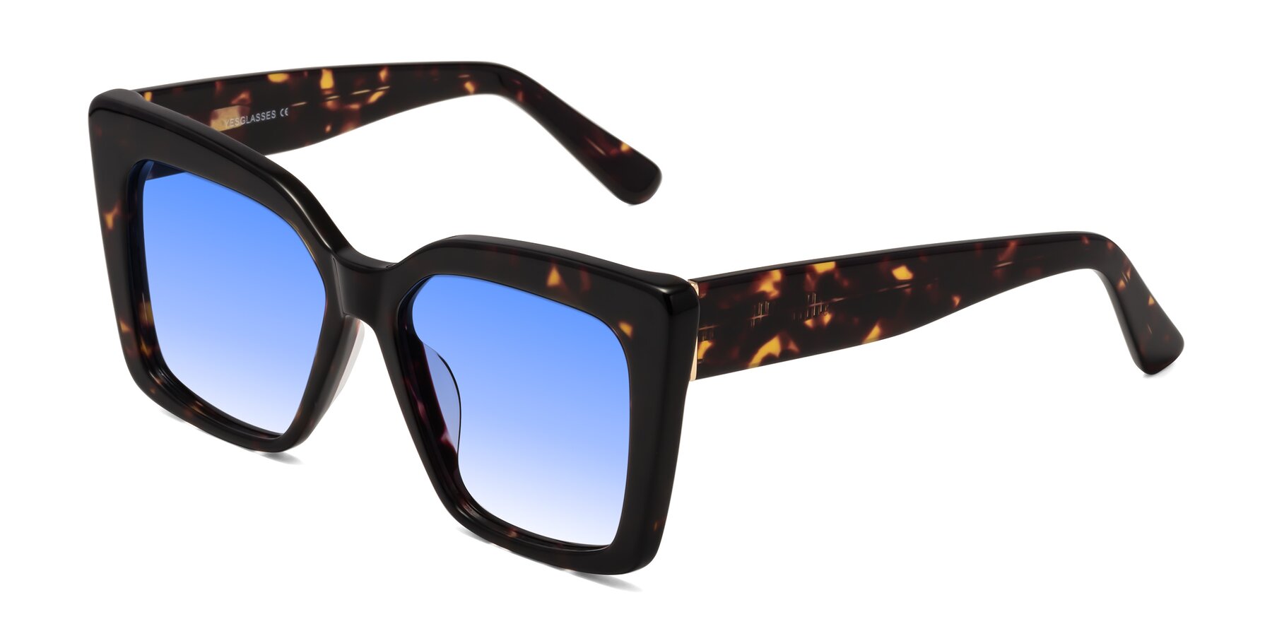 Angle of Hagen in Tortoise with Blue Gradient Lenses