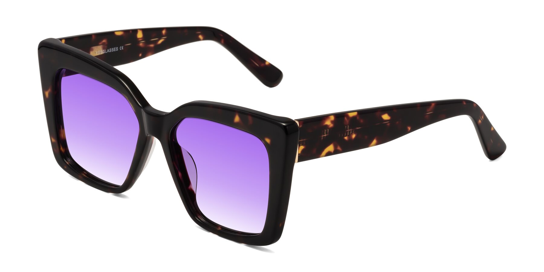 Angle of Hagen in Tortoise with Purple Gradient Lenses