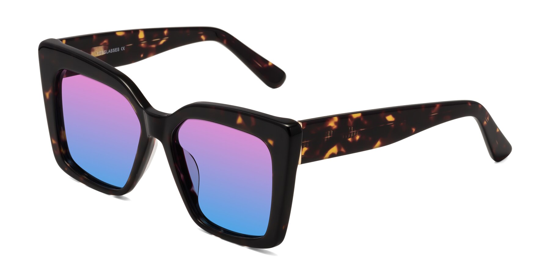 Angle of Hagen in Tortoise with Pink / Blue Gradient Lenses