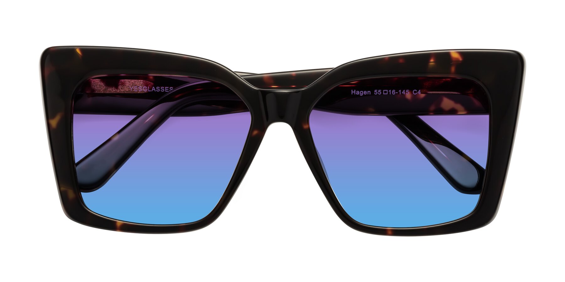 Folded Front of Hagen in Tortoise with Purple / Blue Gradient Lenses