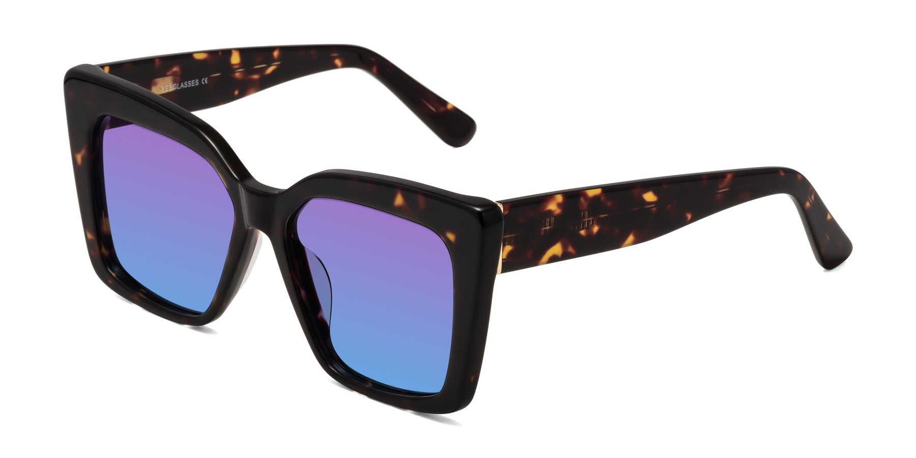 Angle of Hagen in Tortoise with Purple / Blue Gradient Lenses