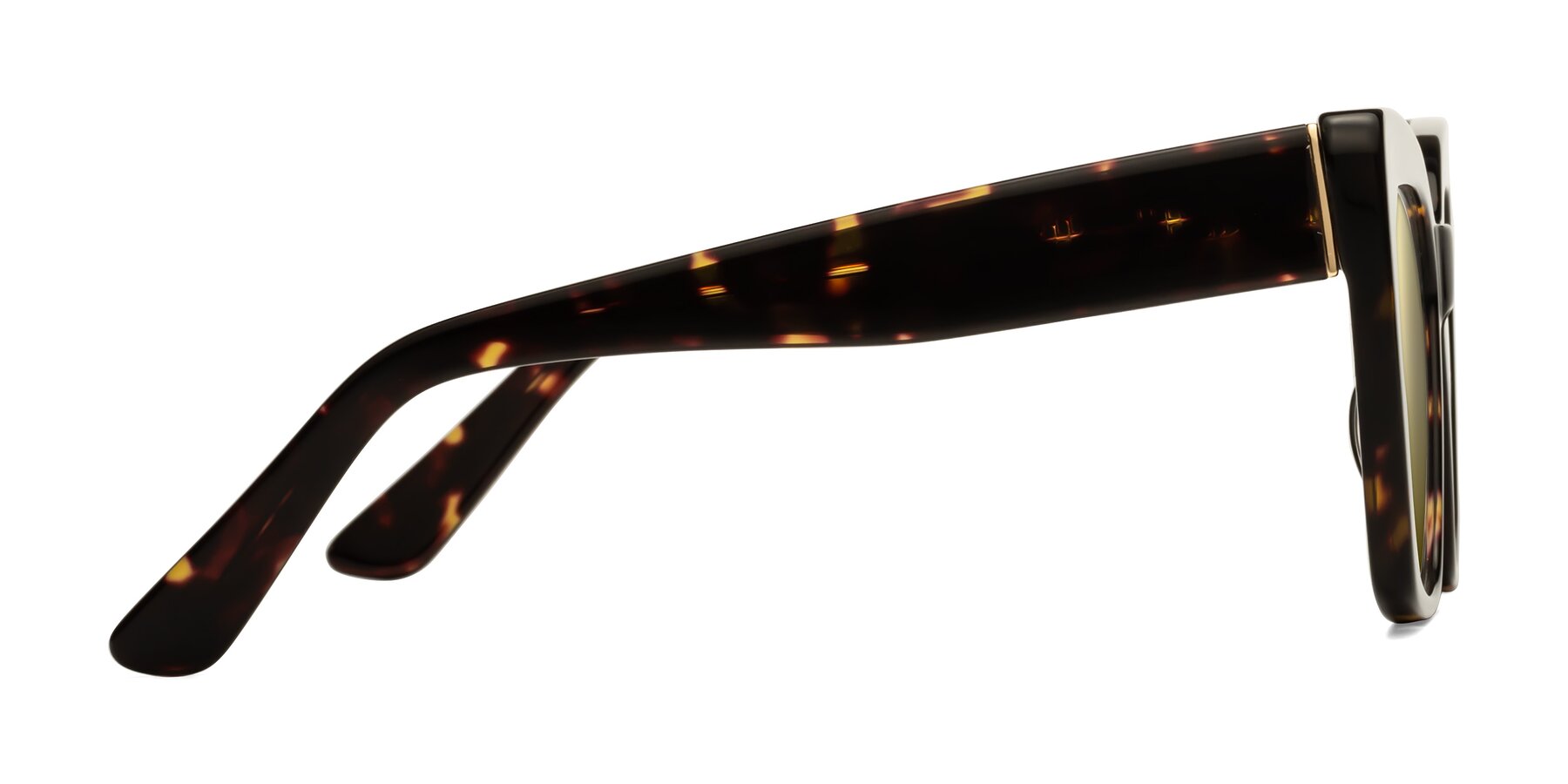 Side of Hagen in Tortoise with Gold Mirrored Lenses