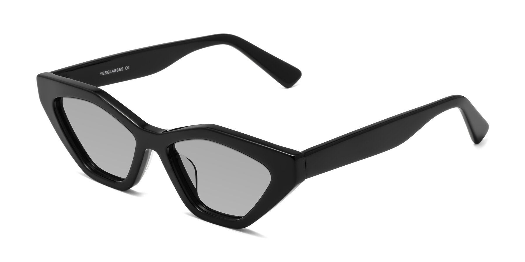 Angle of Riley in Black with Light Gray Tinted Lenses