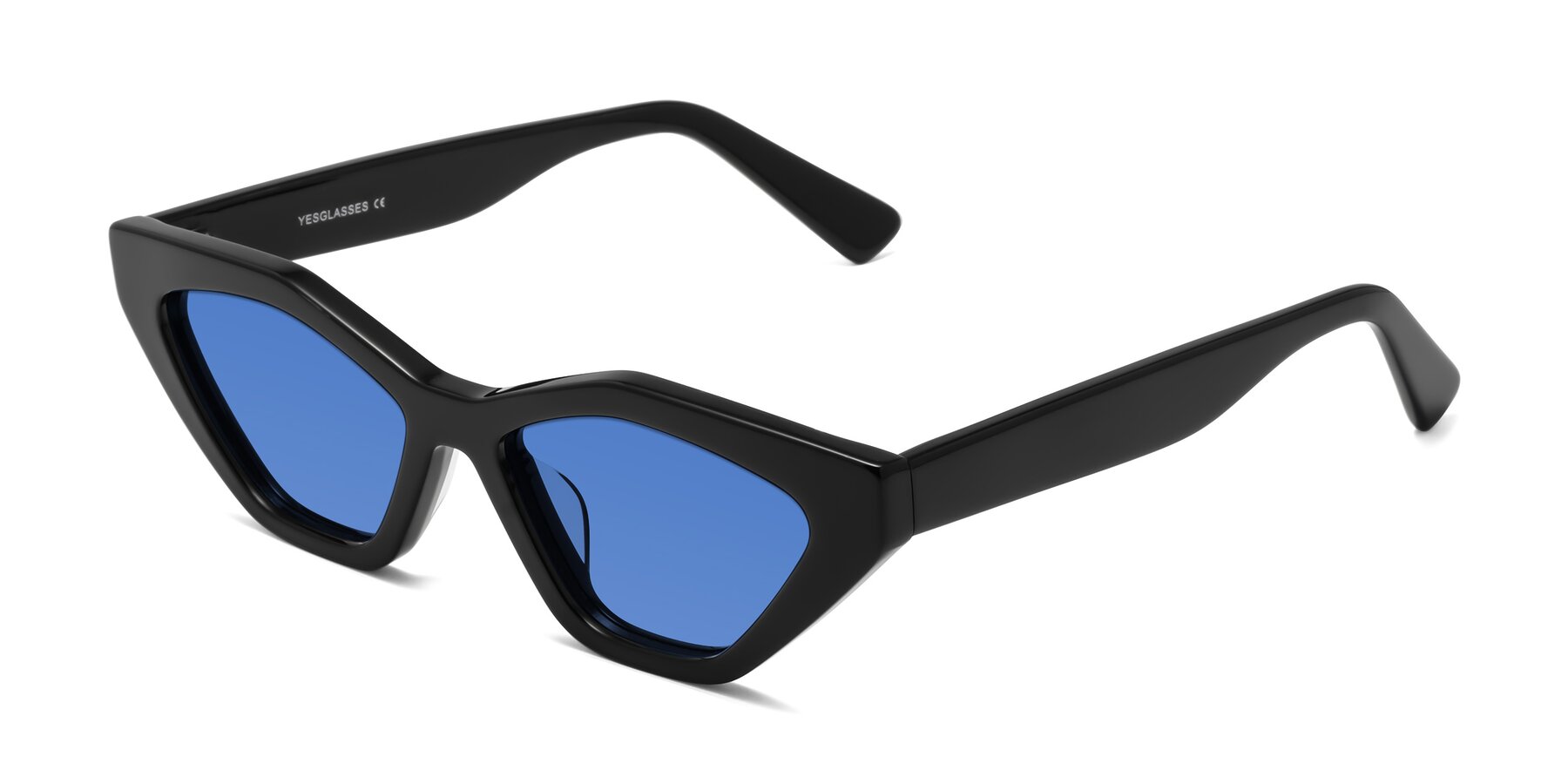 Angle of Riley in Black with Blue Tinted Lenses