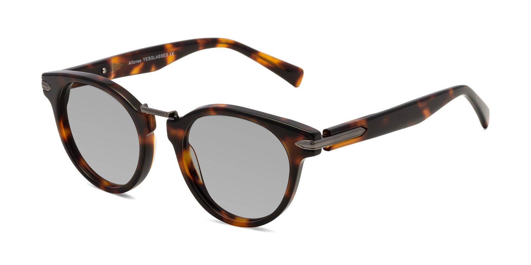 Angle of Alfonso in Tortoise with Light Gray Tinted Lenses