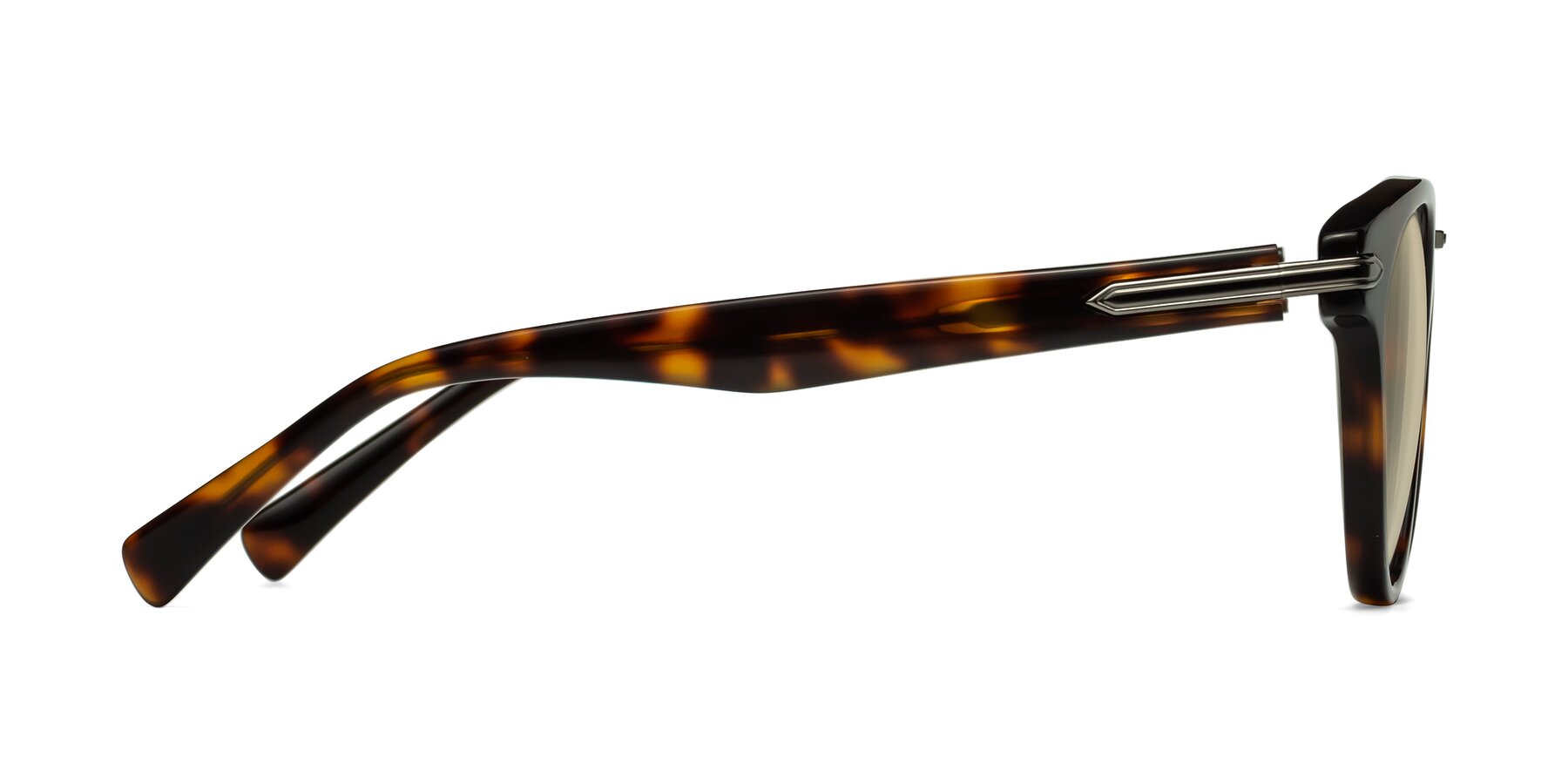 Side of Alfonso in Tortoise with Light Brown Tinted Lenses