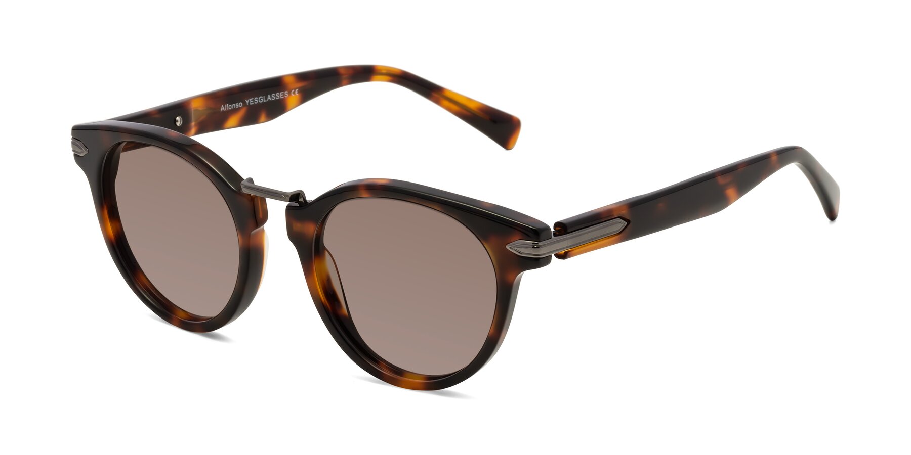 Angle of Alfonso in Tortoise with Medium Brown Tinted Lenses