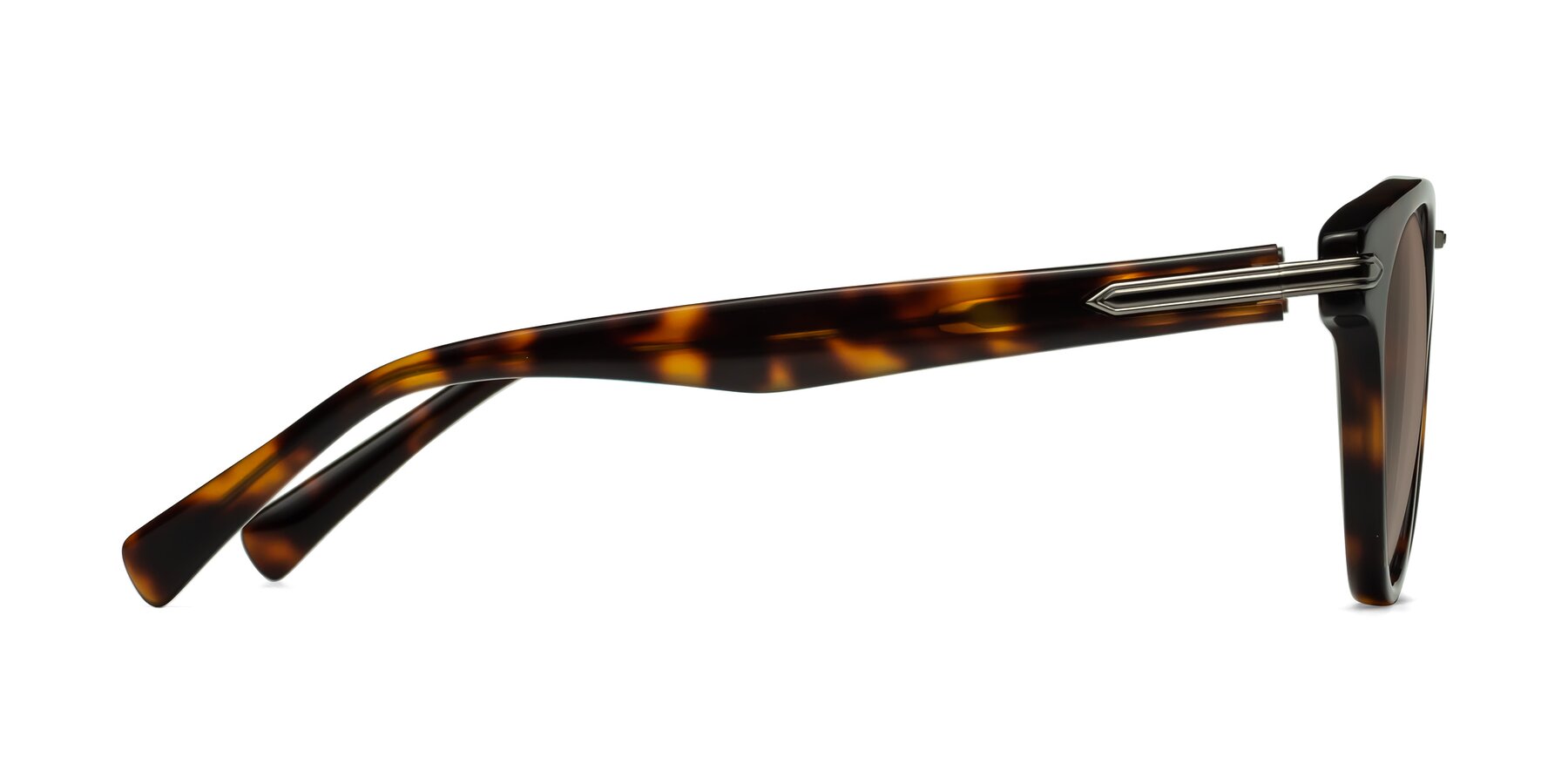 Side of Alfonso in Tortoise with Medium Brown Tinted Lenses