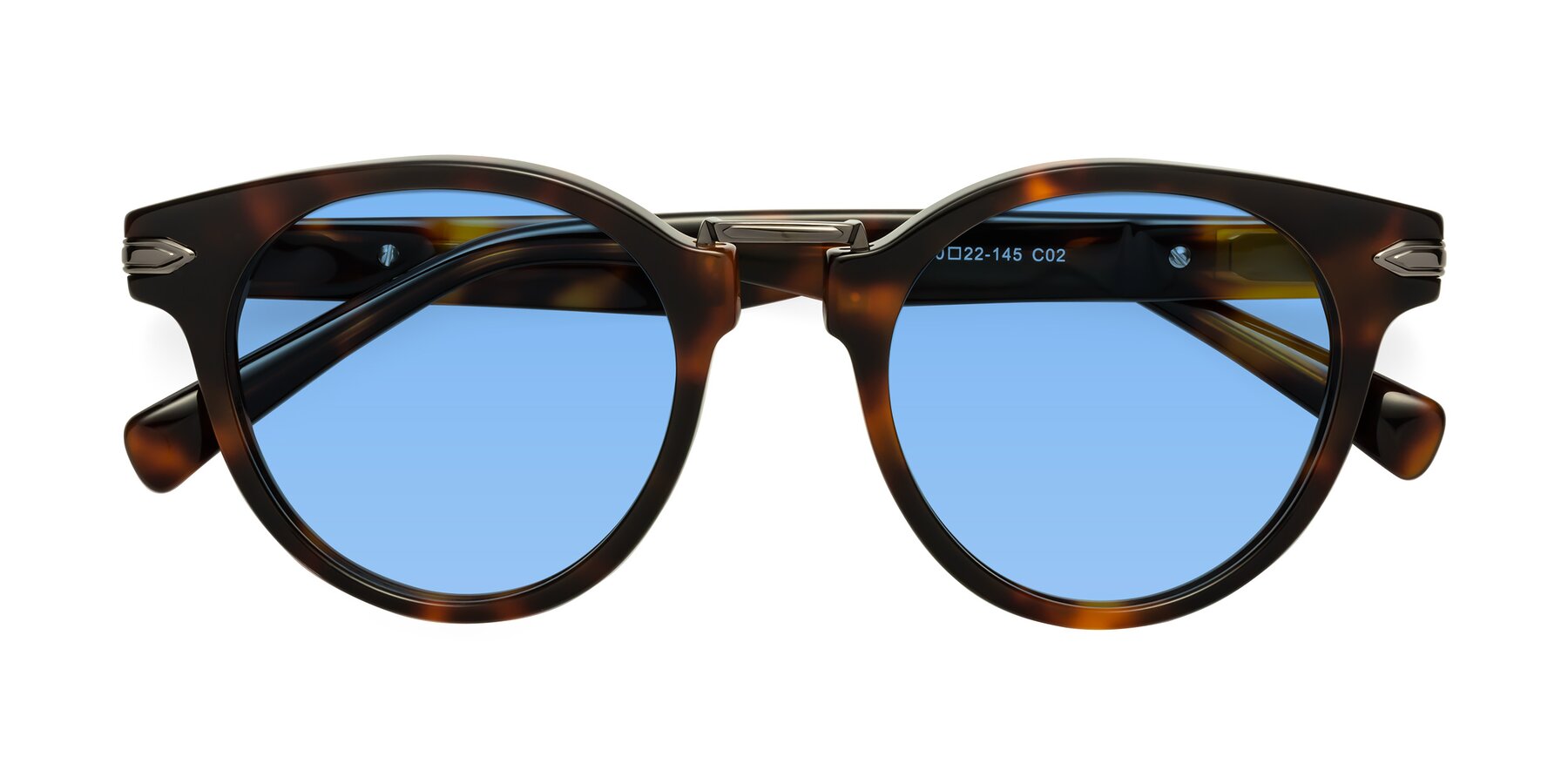 Folded Front of Alfonso in Tortoise with Medium Blue Tinted Lenses
