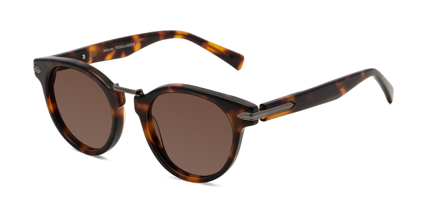 Angle of Alfonso in Tortoise with Brown Tinted Lenses