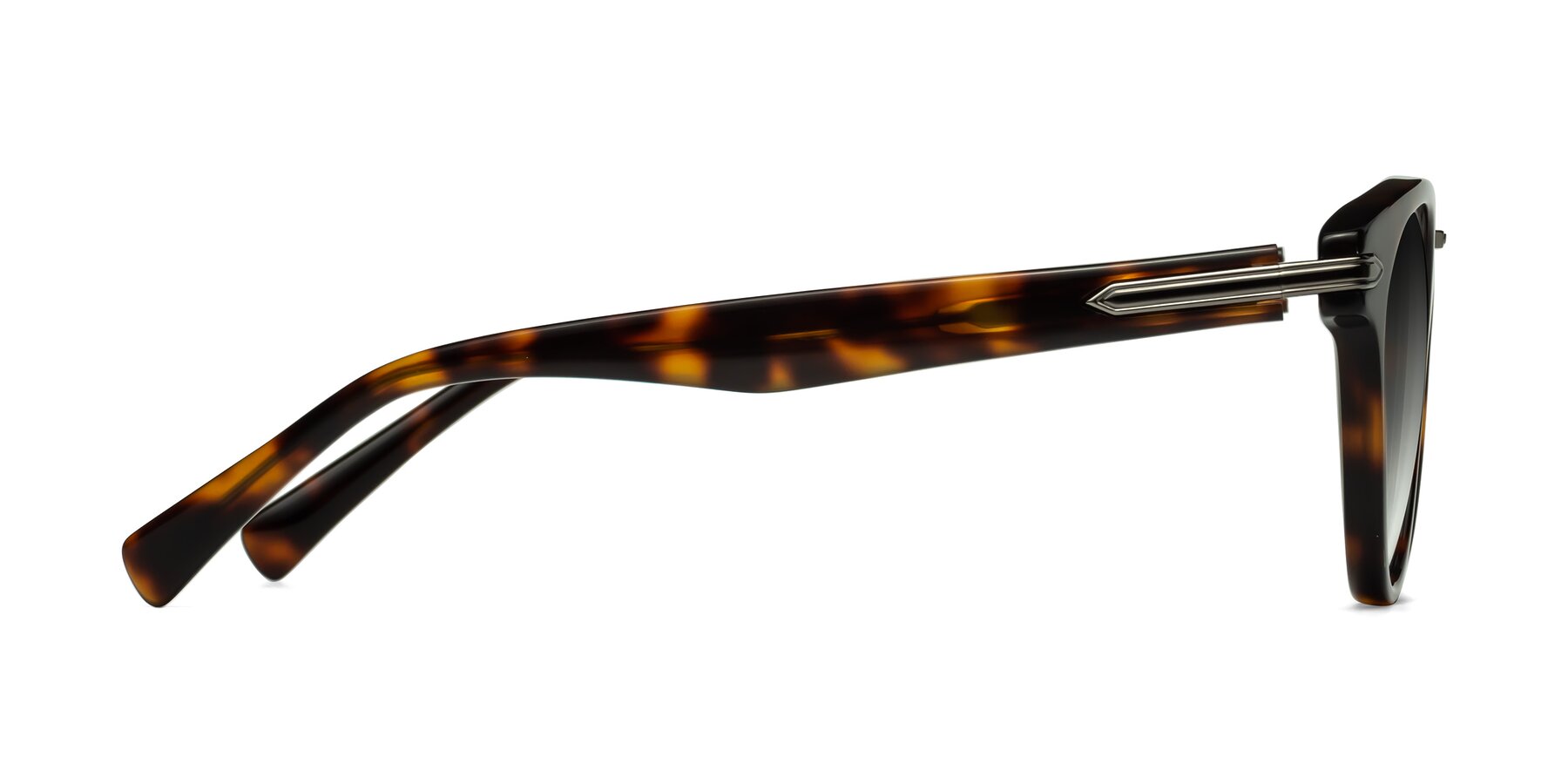 Side of Alfonso in Tortoise with Gray Gradient Lenses