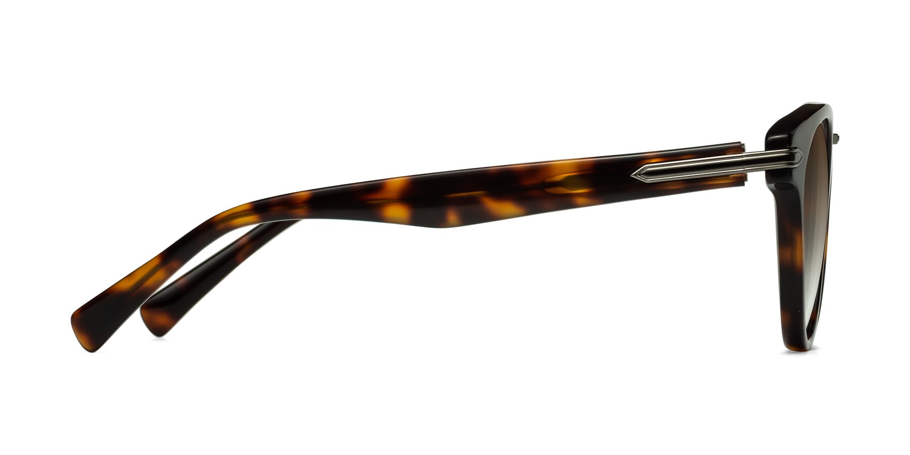Side of Alfonso in Tortoise with Brown Gradient Lenses