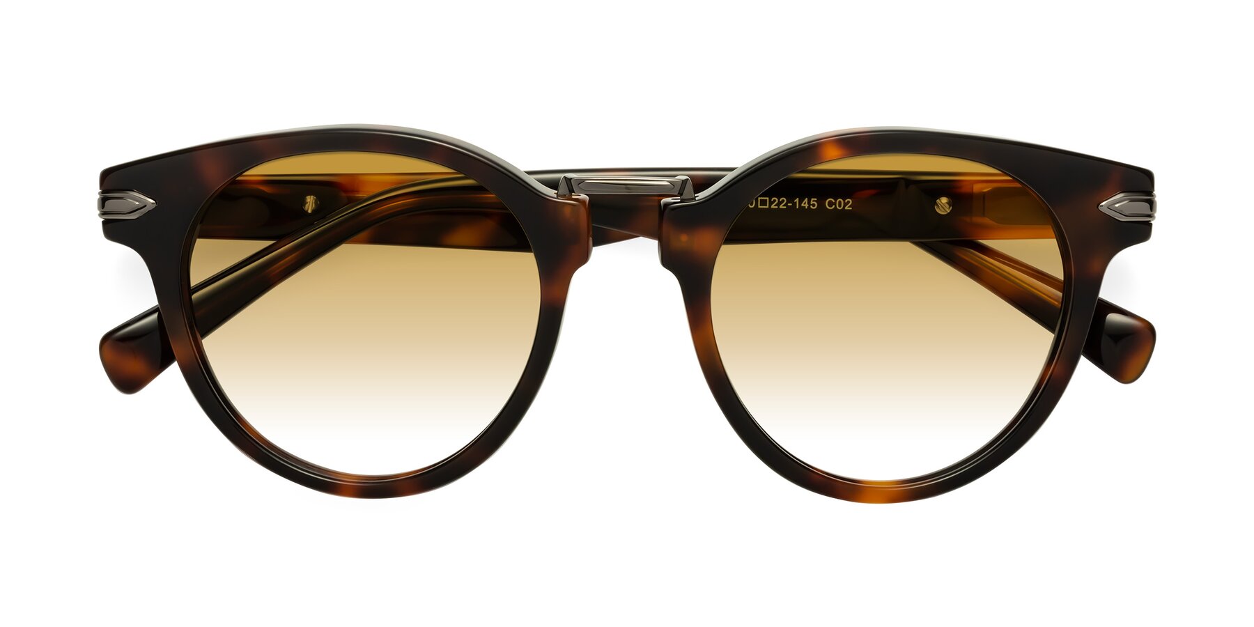 Folded Front of Alfonso in Tortoise with Champagne Gradient Lenses