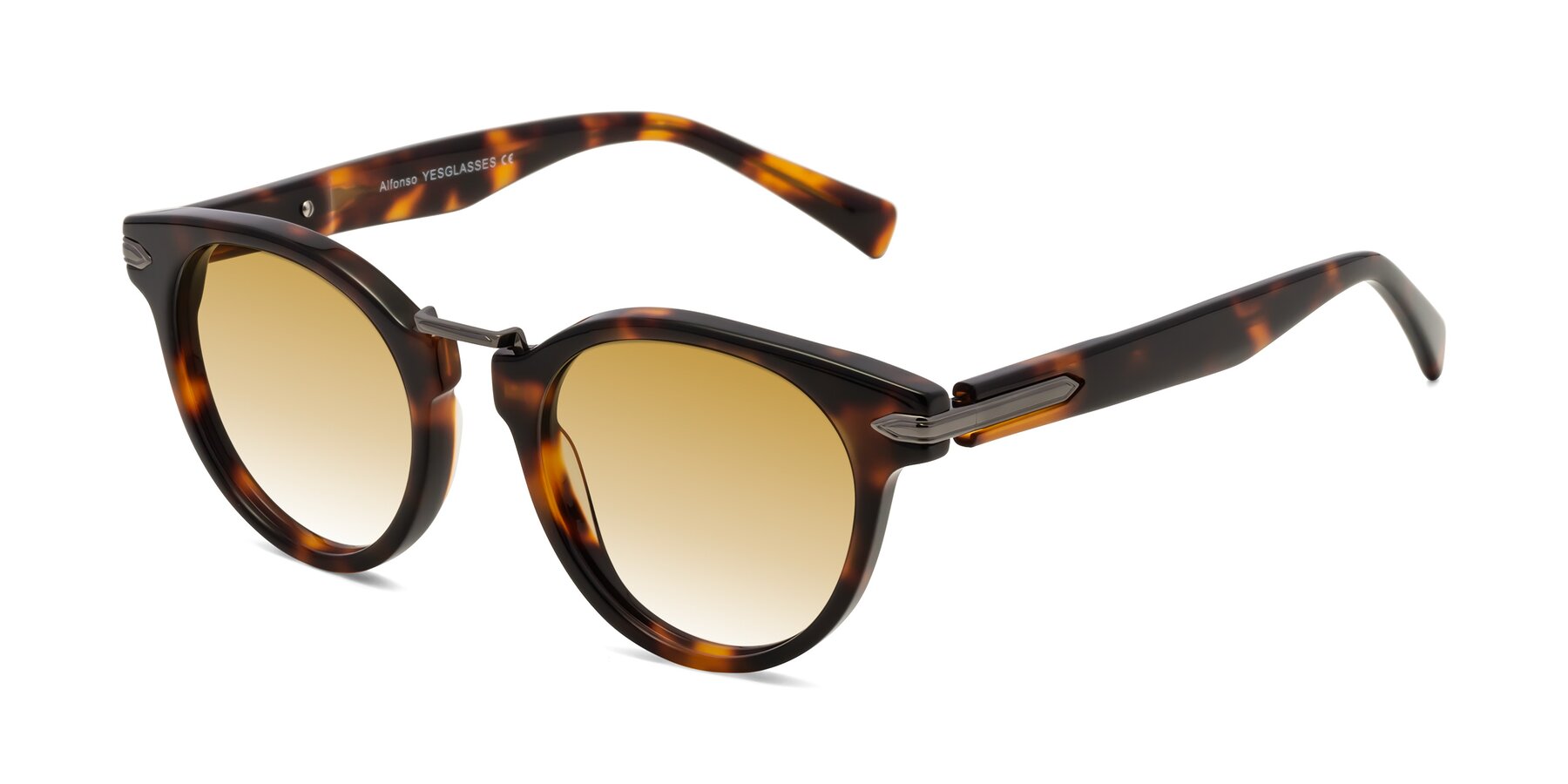 Angle of Alfonso in Tortoise with Champagne Gradient Lenses