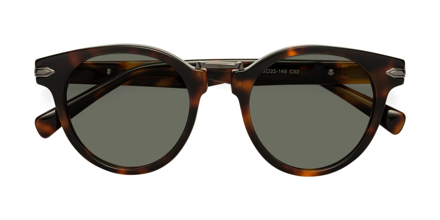 Alfonso - Tortoise Polarized Sunglasses