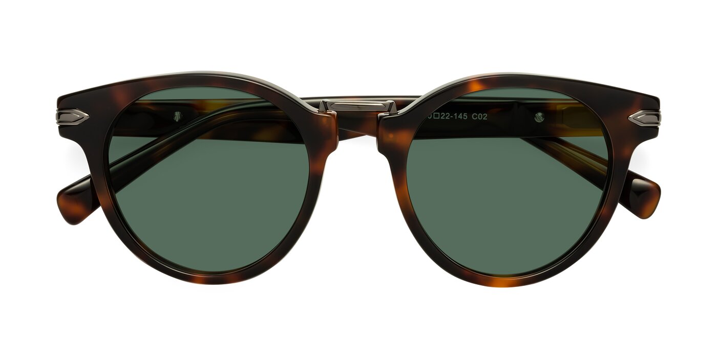 Alfonso - Tortoise Polarized Sunglasses