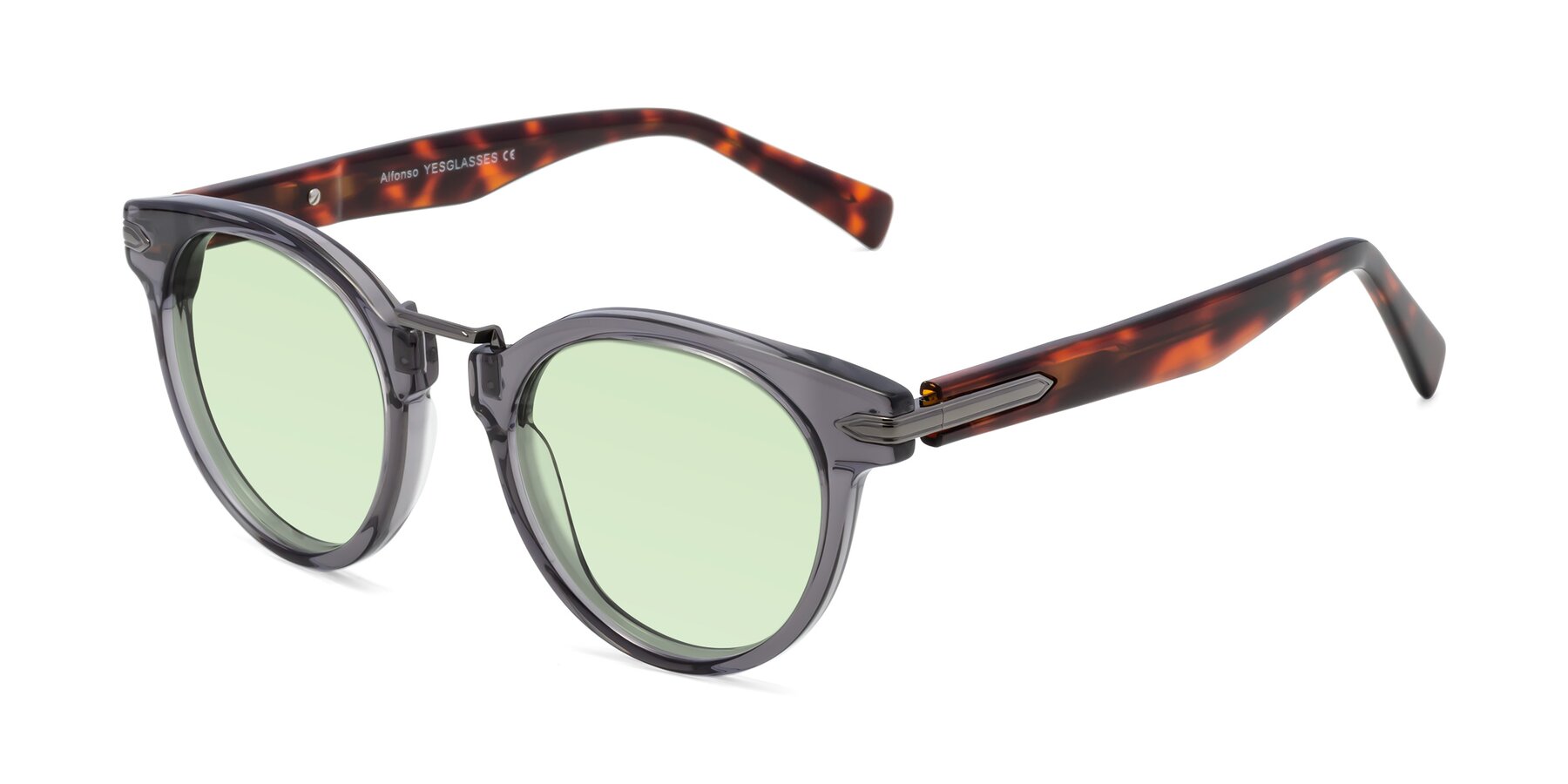 Angle of Alfonso in Gray /Tortoise with Light Green Tinted Lenses