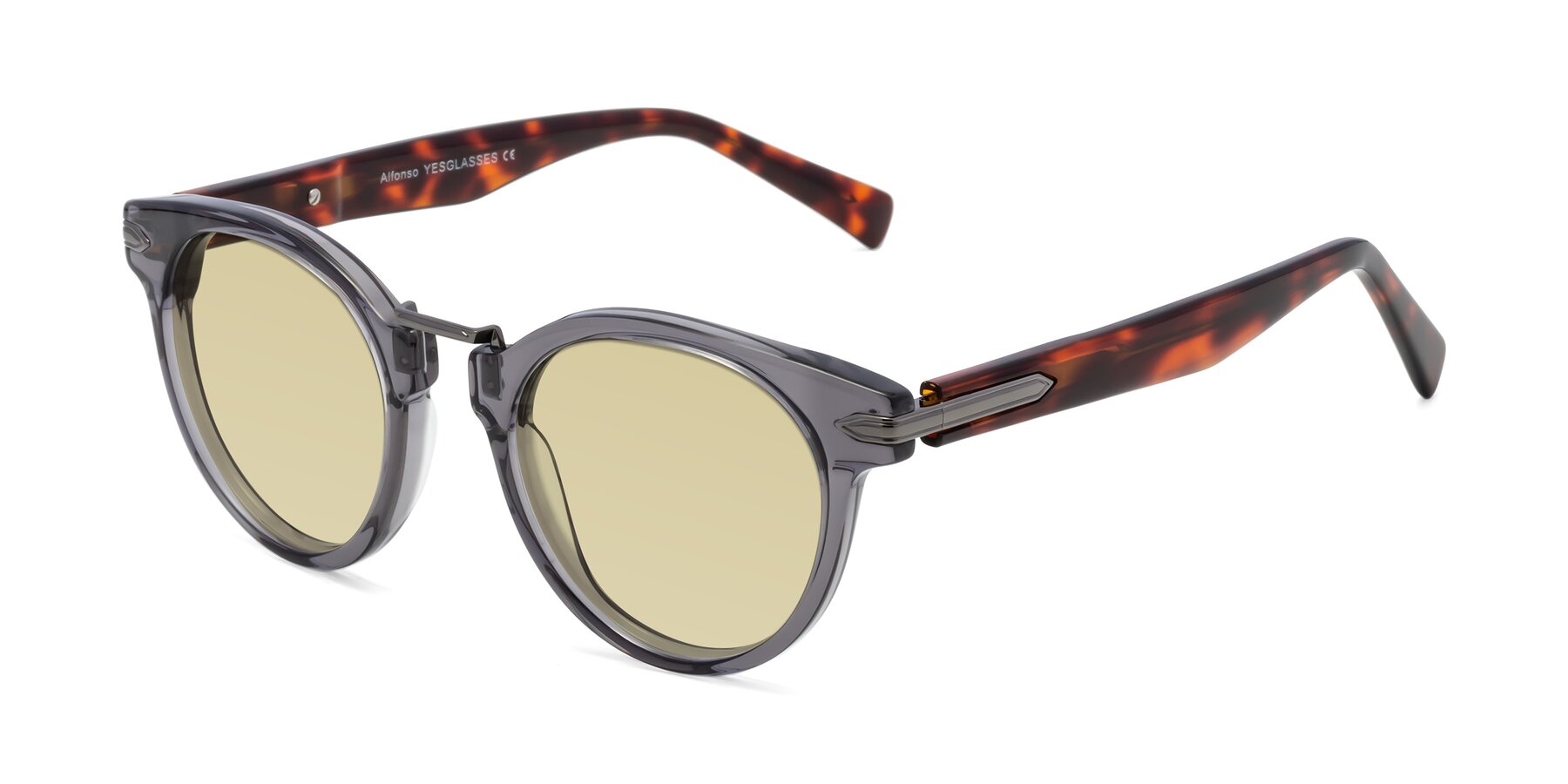 Angle of Alfonso in Gray /Tortoise with Light Champagne Tinted Lenses