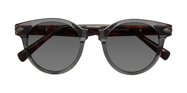 Front of Alfonso in Gray /Tortoise