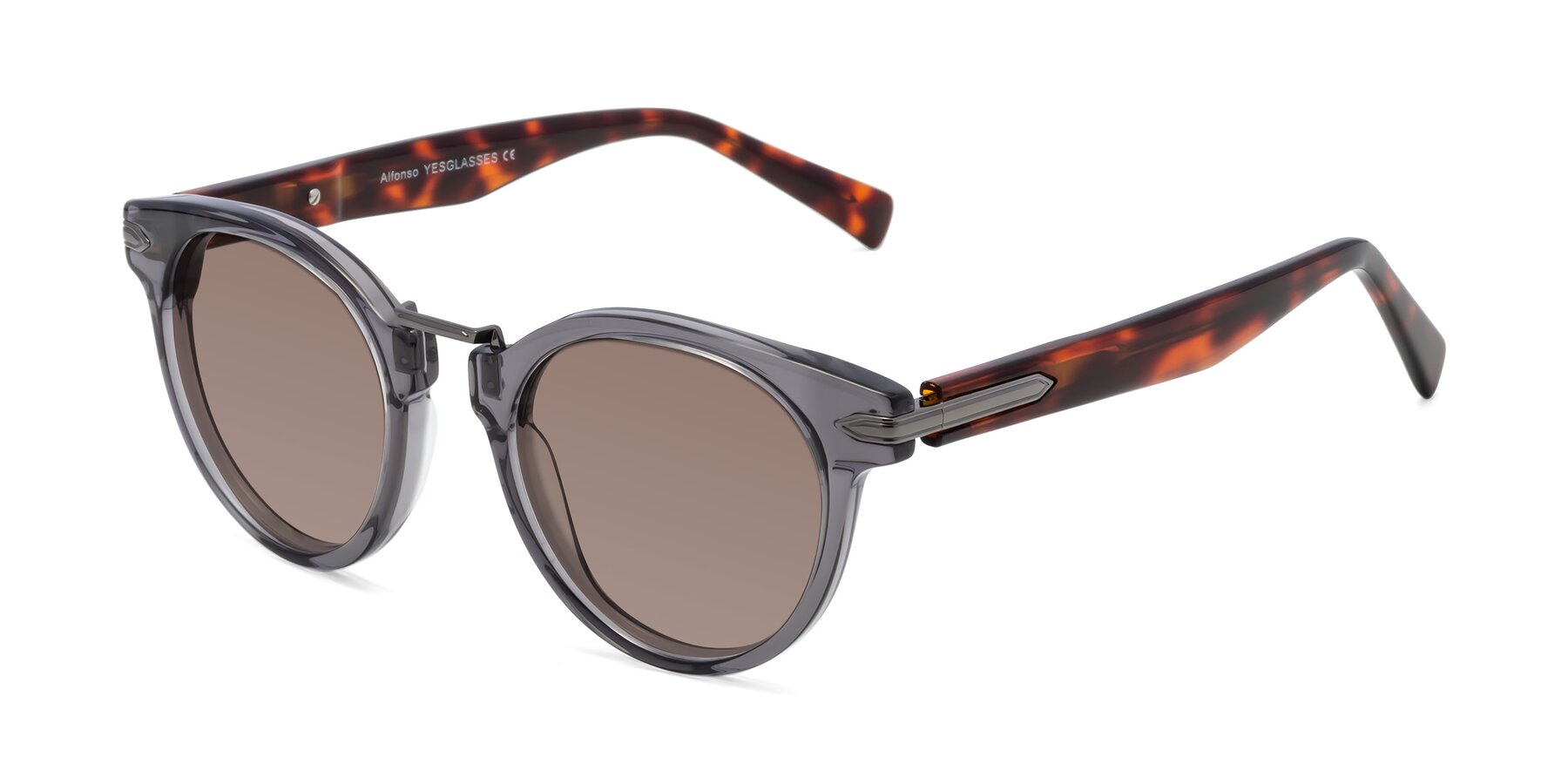 Angle of Alfonso in Gray /Tortoise with Medium Brown Tinted Lenses