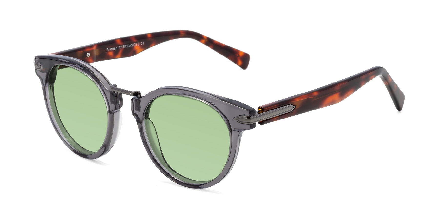Angle of Alfonso in Gray /Tortoise with Medium Green Tinted Lenses