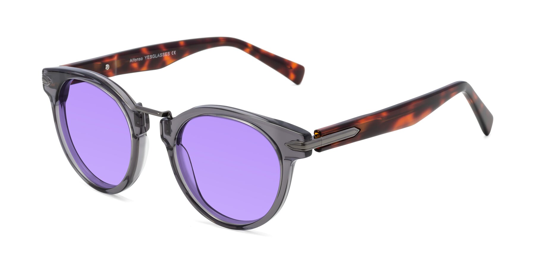 Angle of Alfonso in Gray /Tortoise with Medium Purple Tinted Lenses