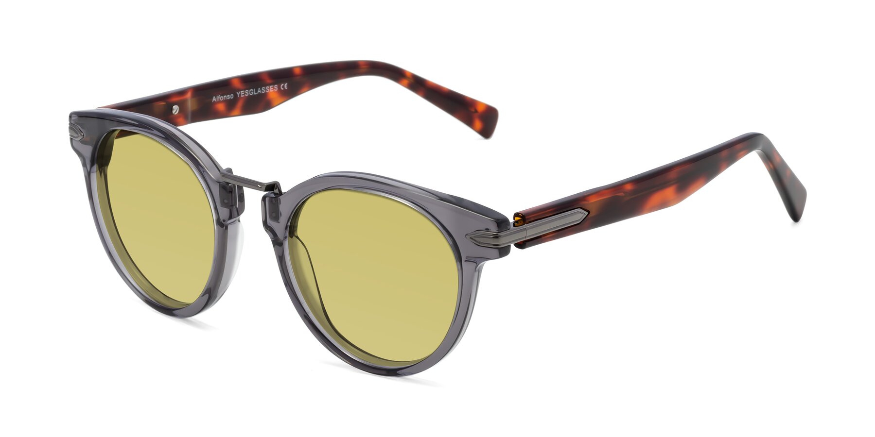 Angle of Alfonso in Gray /Tortoise with Medium Champagne Tinted Lenses
