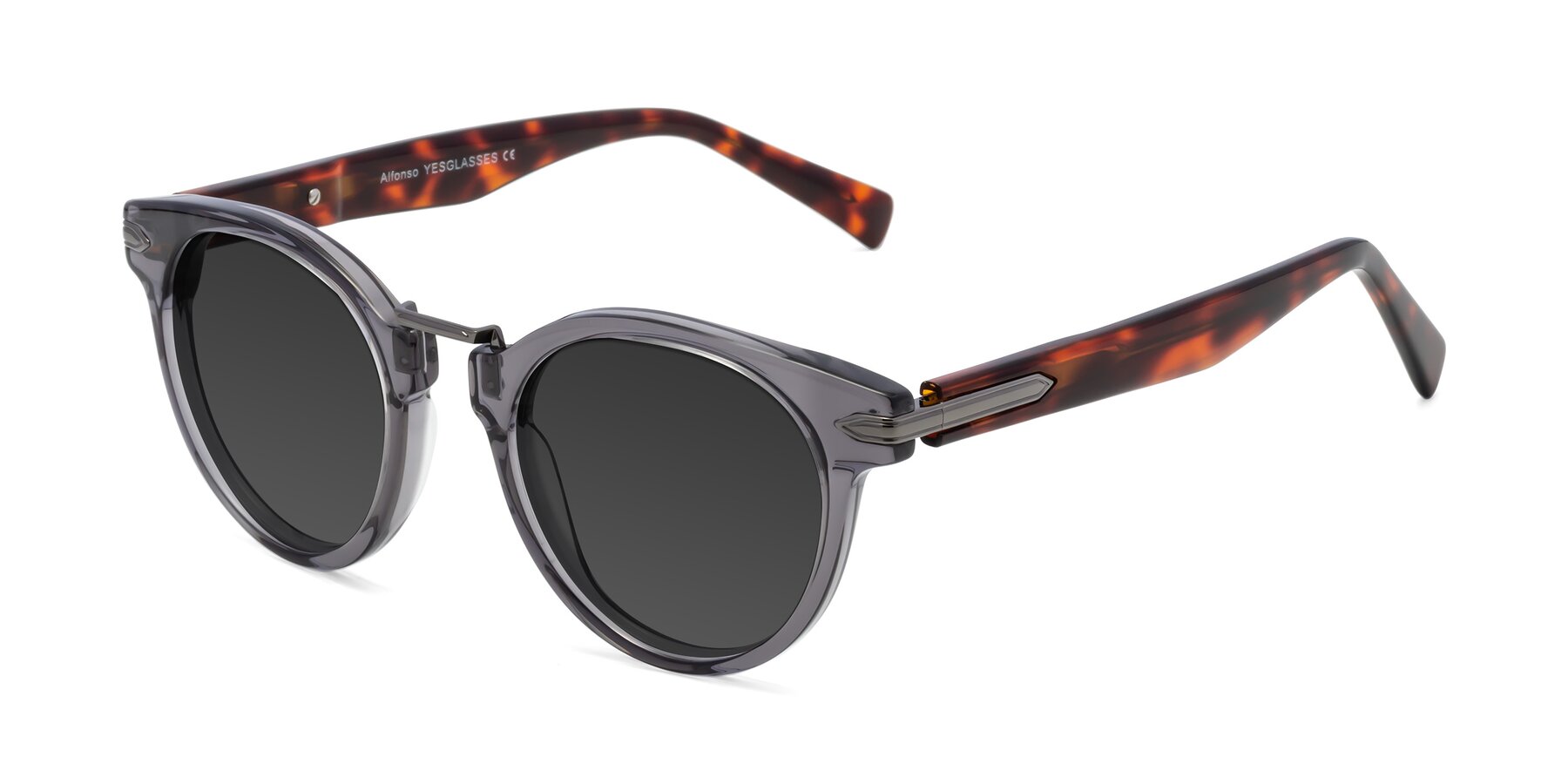Angle of Alfonso in Gray /Tortoise with Gray Tinted Lenses