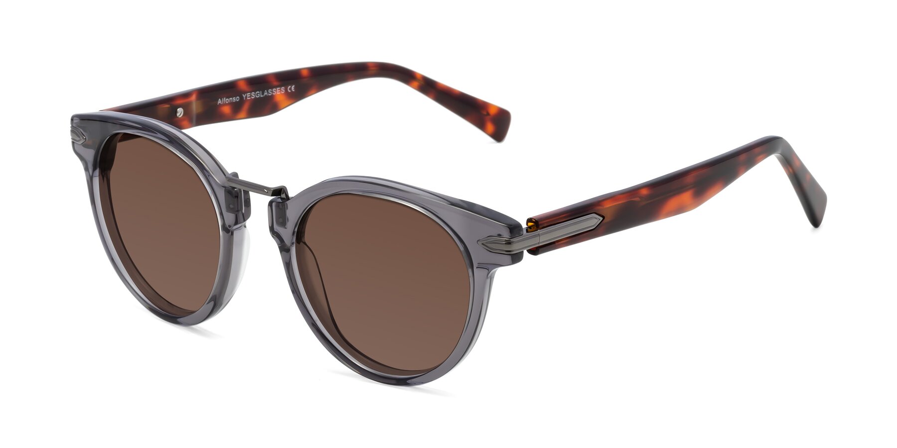 Angle of Alfonso in Gray /Tortoise with Brown Tinted Lenses