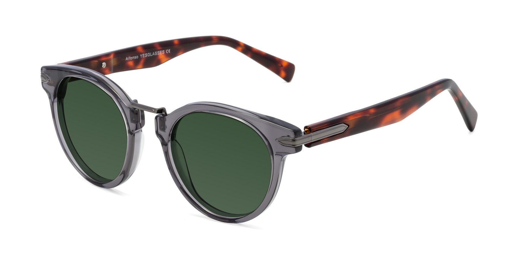 Angle of Alfonso in Gray /Tortoise with Green Tinted Lenses
