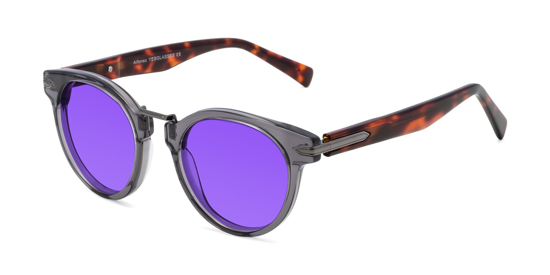 Angle of Alfonso in Gray /Tortoise with Purple Tinted Lenses