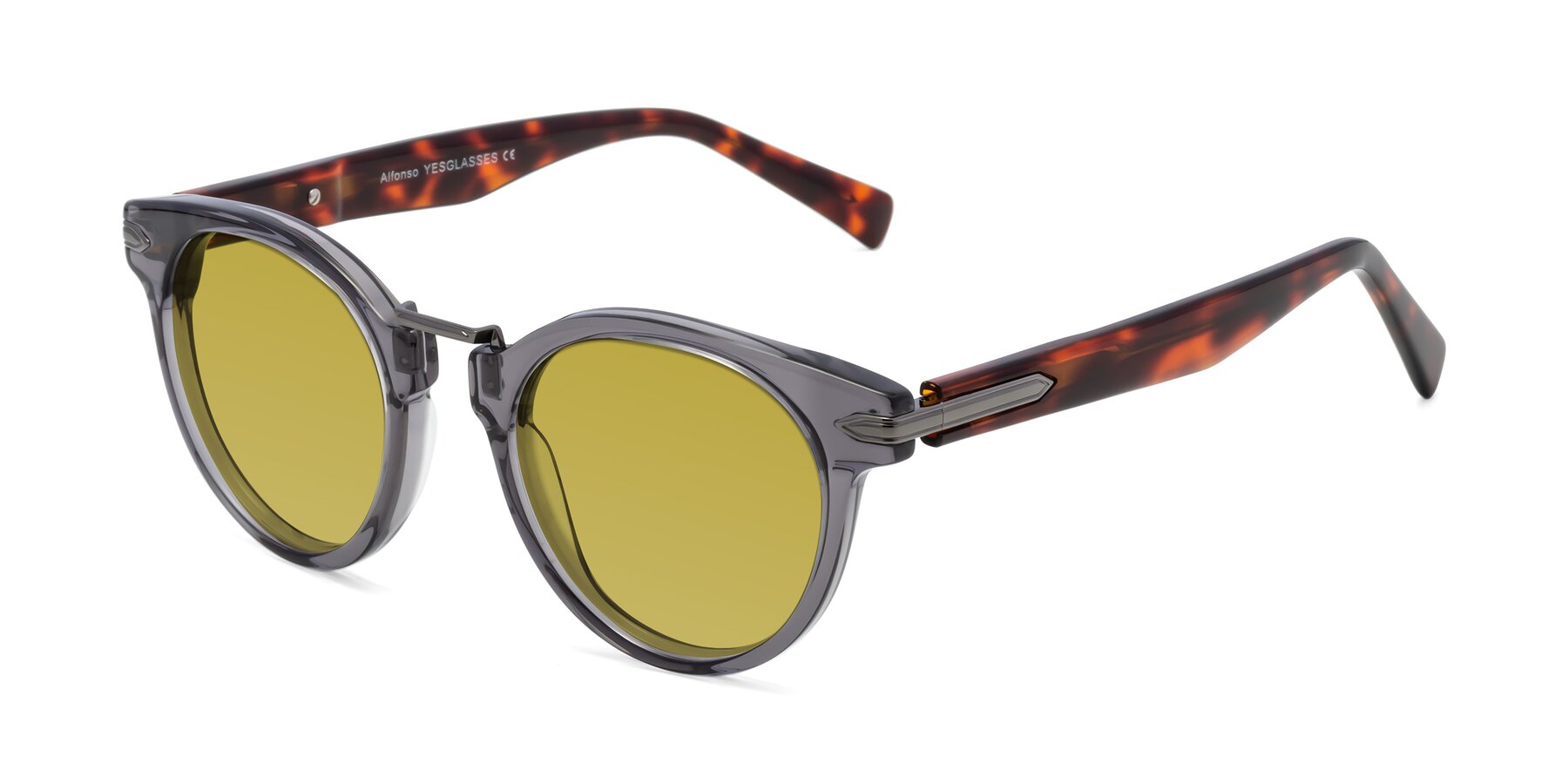 Angle of Alfonso in Gray /Tortoise with Champagne Tinted Lenses