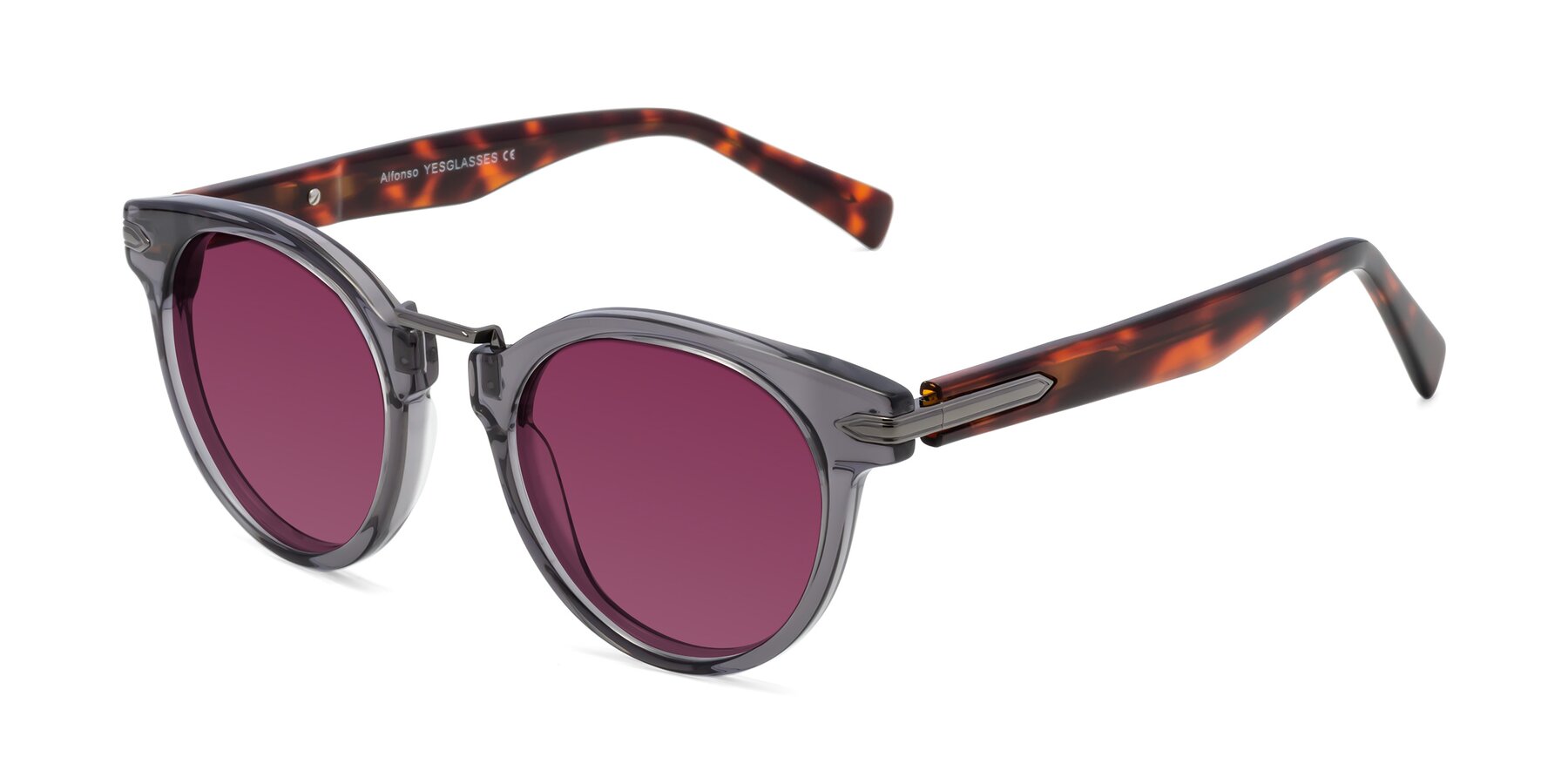 Angle of Alfonso in Gray /Tortoise with Wine Tinted Lenses