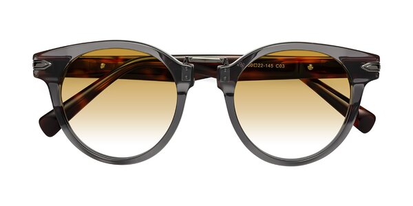Front of Alfonso in Gray /Tortoise