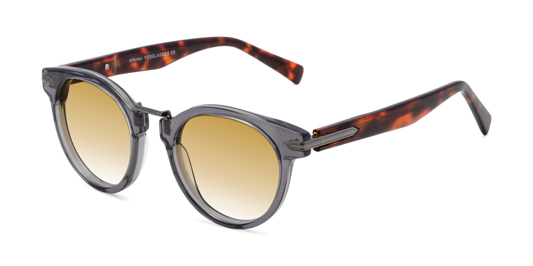 Angle of Alfonso in Gray /Tortoise with Champagne Gradient Lenses